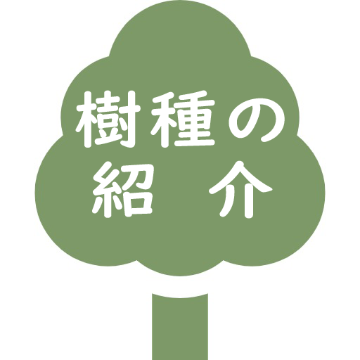 樹種の紹介